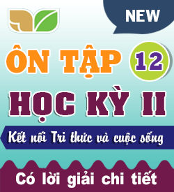 Ôn tập Học kỳ II (KNTT_T12_2027)
